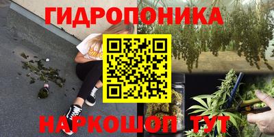 ПСИЛОЦИБИНОВЫЕ ГРИБЫ Заволжье