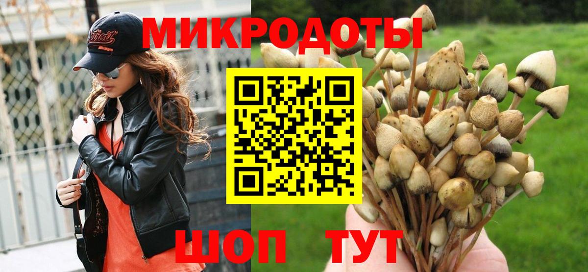 Междуреченск  Псилоцибиновые грибы мицелий  Вход с VPN 