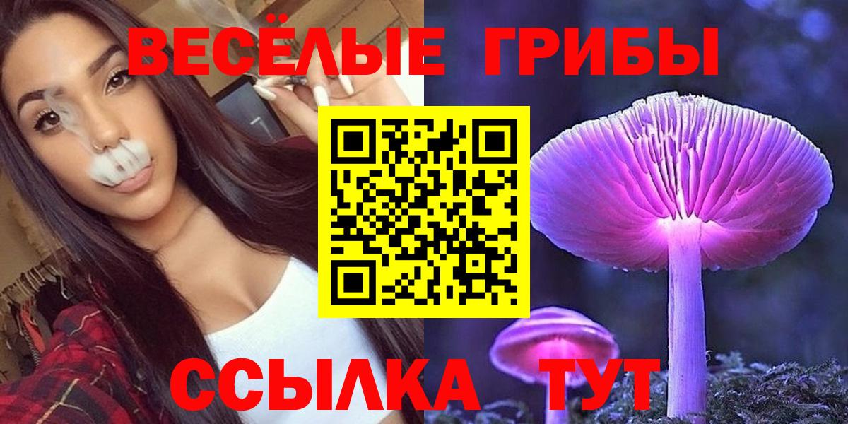 Галлюциногенные грибы Magic Shrooms Междуреченск